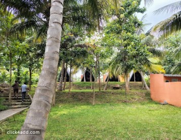 Escape the City with Day Outing Packages Near Bangalore!