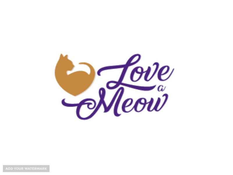 Adopt a cat at Love a Meow o Find Your Furry Forever Friend