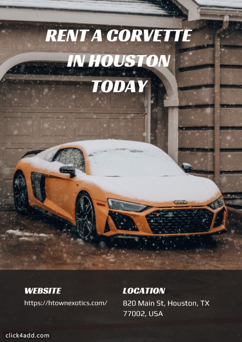 Explore Houston in Style 