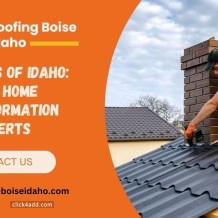Roof repair services (2)