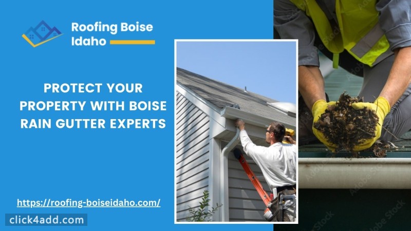 Protect Your Property with Boise Rain Gutter Experts