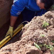 house-sewage-inspection