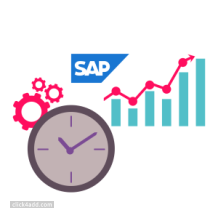 sap performance and time optimization services—neev data