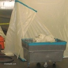 government-asbestos-abatement