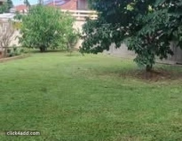 Lawn Mowing Brisbane