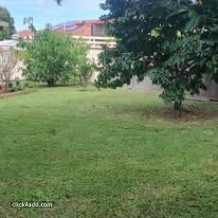 Garden Maintenance Brisbane