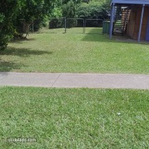 Lawn Mowing And Edging Brisbane