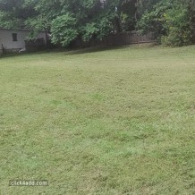lawn Mowing Brisbane