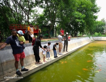 One-Day Family Getaway at The Big Barn Nature Camp