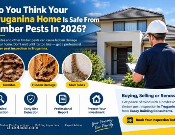 Protect Your Home Before Pests Strike